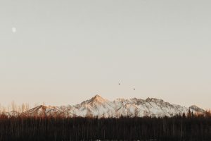 pat-rindone-iADILCcRpV8-unsplash