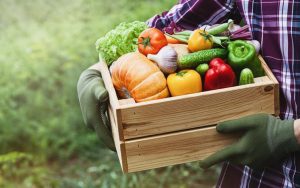 alimentation_durable_definition_et_comment_l_avoir_82_orig