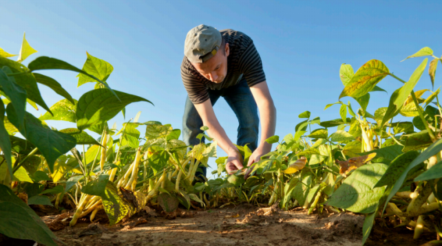 agriculteur_bio_credit_usda_0