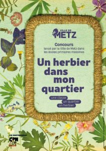 7284_capture_d_ecran_2023_03_10_metz