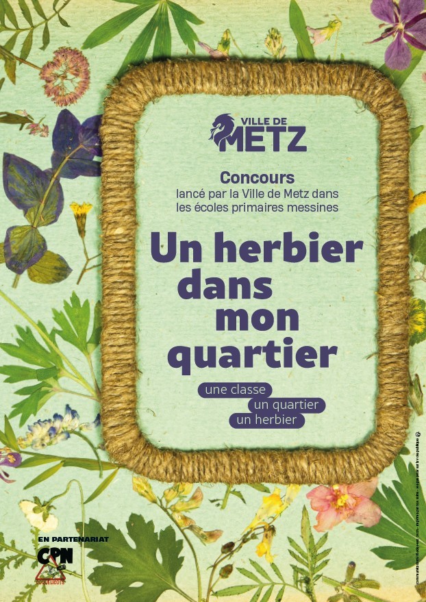 7284_capture_d_ecran_2023_03_10_metz