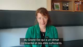mqdefault
