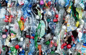 pollution-plastique-environnement (1)