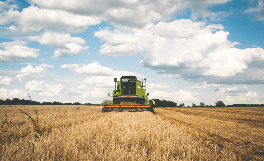 champsagriculture