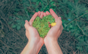 environnement