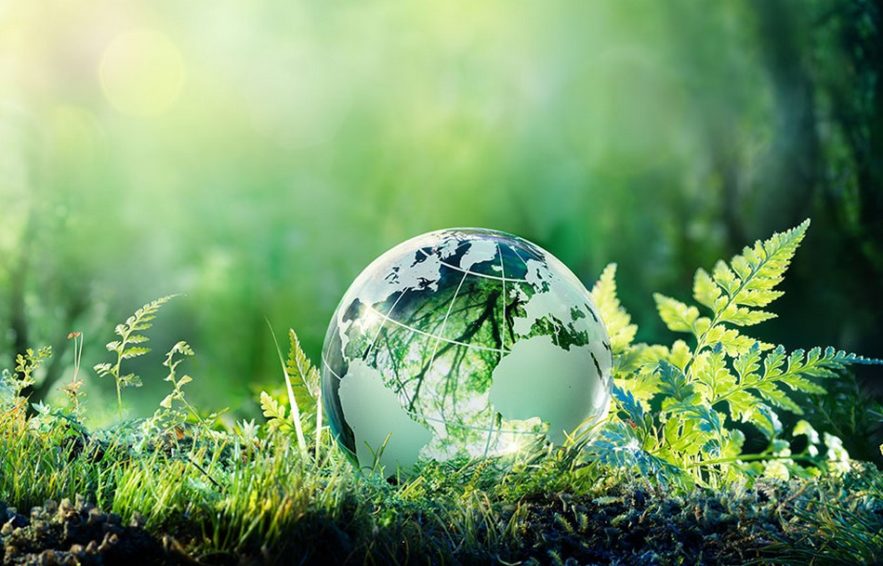 environnement-883x566